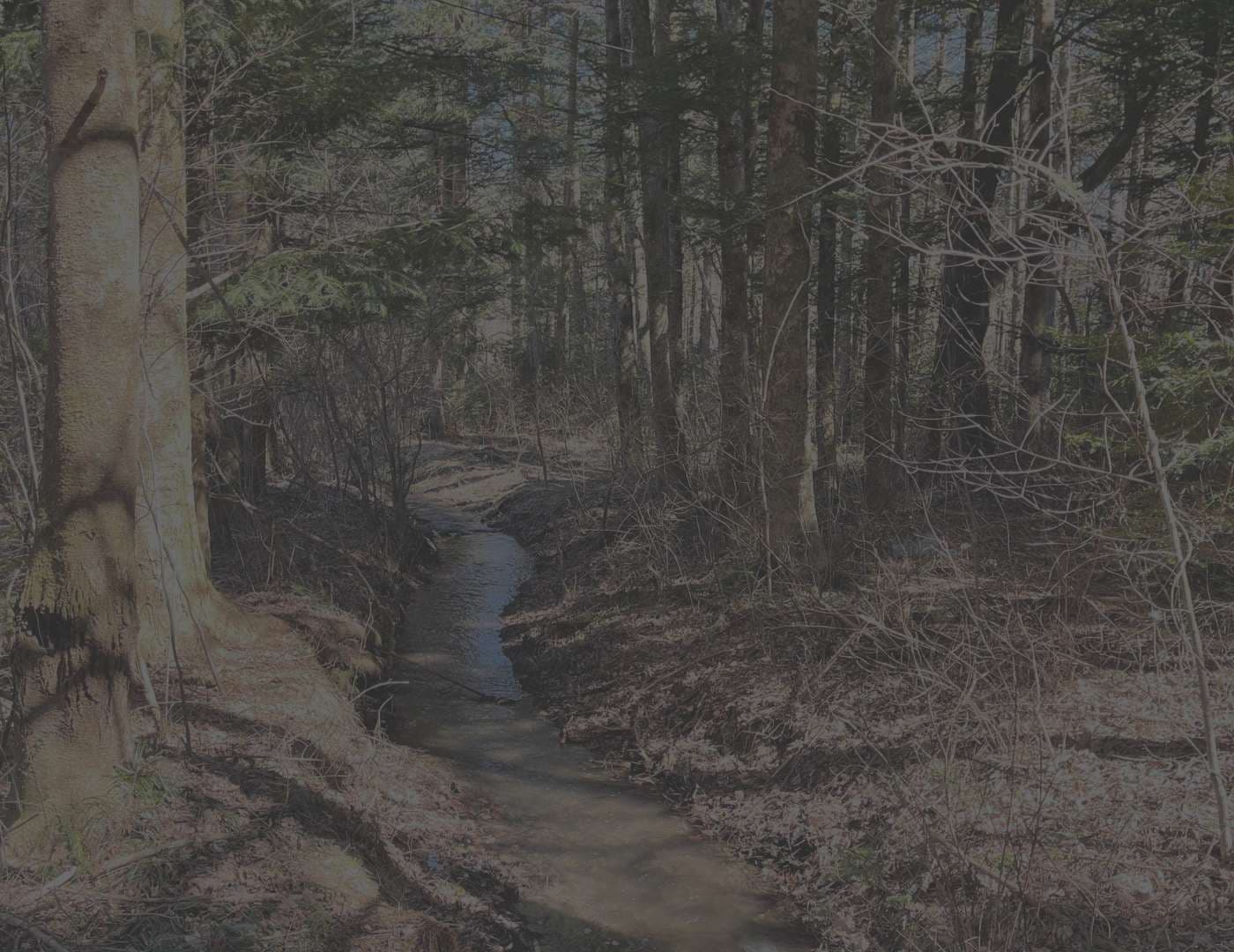 Saunature Management System